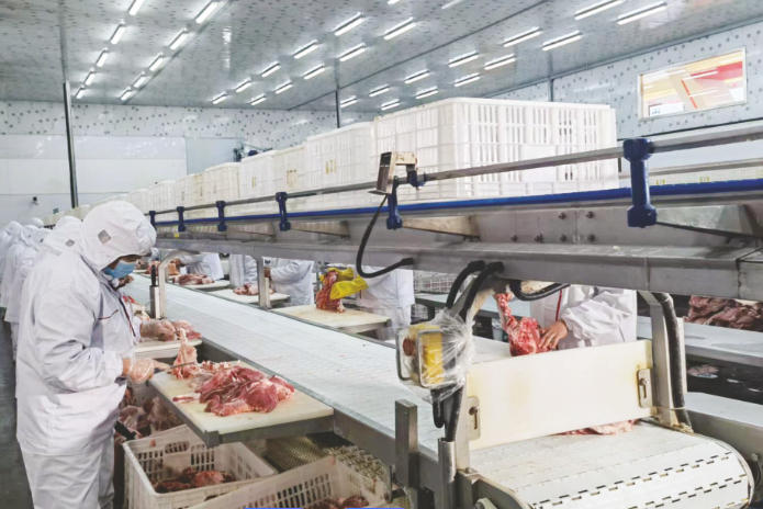 Meat Processing Line